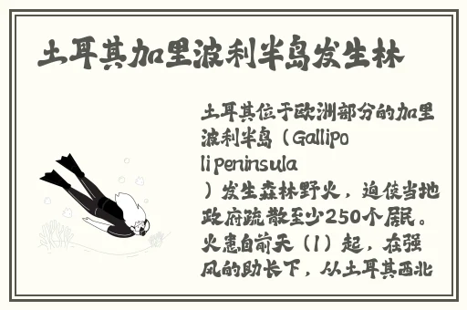 男女磨豆浆直播软件